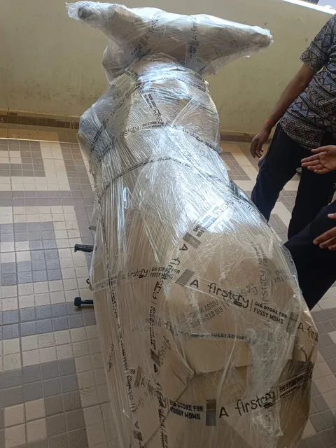 Alok Home Shifting Real Work Photo 21 - Packers and Movers Karnataka